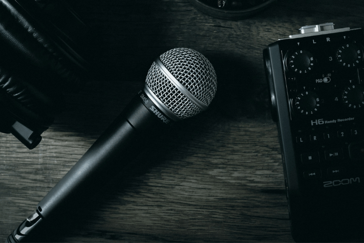 MICROPHONE FOR SINGING: SHURE SM58