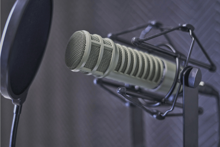 MICROPHONE FOR SINGING - ELECTRO VOICE  RE20
